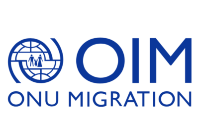 Zoom interpreting for IOM – Maximizing the diaspora